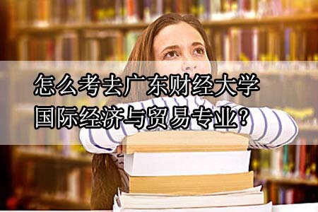 国际经济与贸易专业，广东财经大学，自考本科